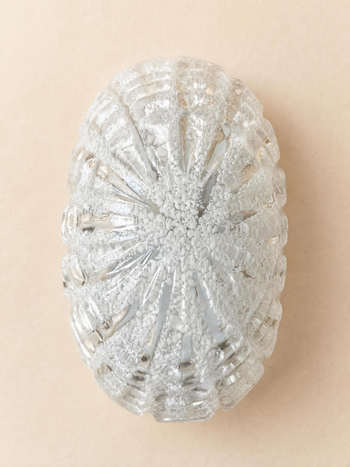 Italian Vintage Murano Glass Wall Sconces, Pair of Sculptural Shell Lights — photo 7